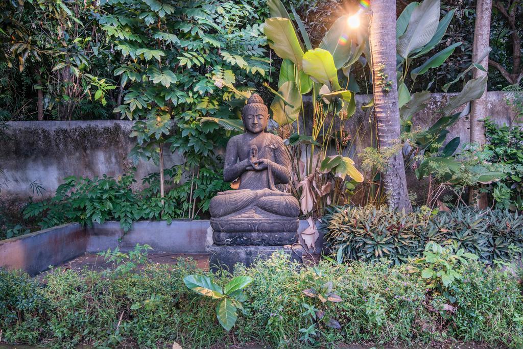 Stunning Villa Lily Lovina Exterior foto